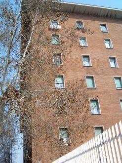 Vesta 2* Roma